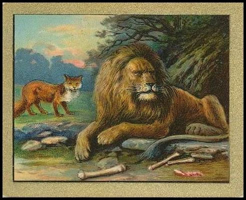 T57 69 The Fox And The Lion.jpg